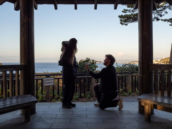The proposal